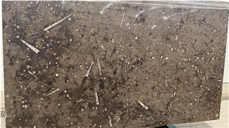 Brown Fossil Marble Stone Slabs
