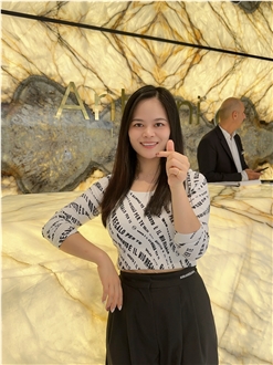 Brazil Patagonia Luxury Natural Quartzite Slabs