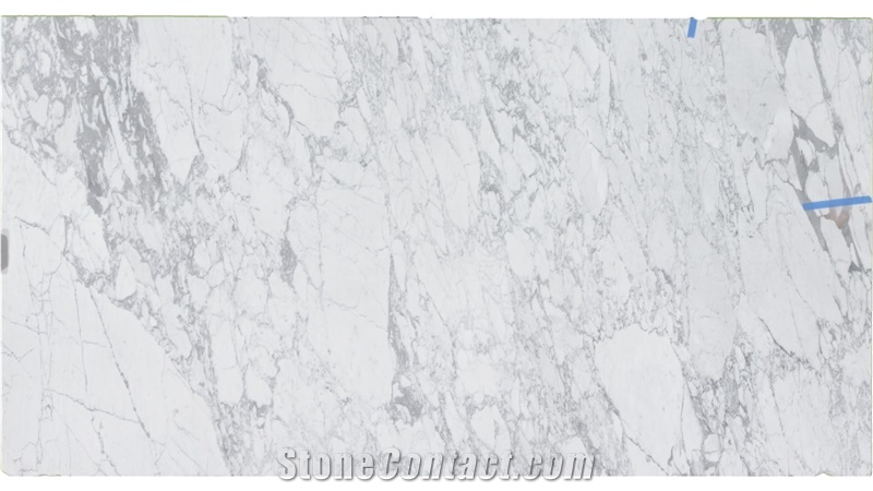 Calacatta Altissimo Marble Slabs