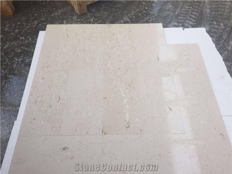 Shell Beige Fossil Limestone Slabs