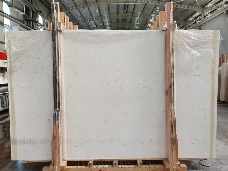 Shell Beige Fossil Limestone Slabs