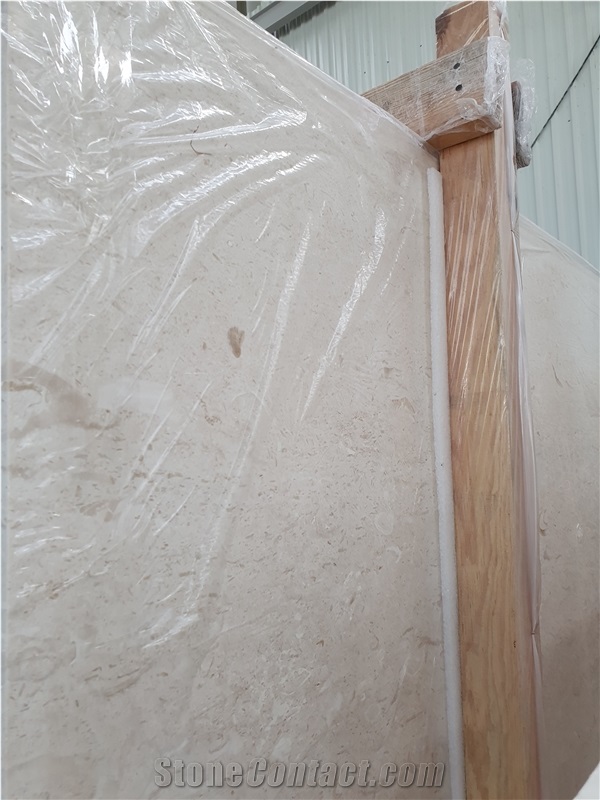 Shell Beige Fossil Limestone Slabs