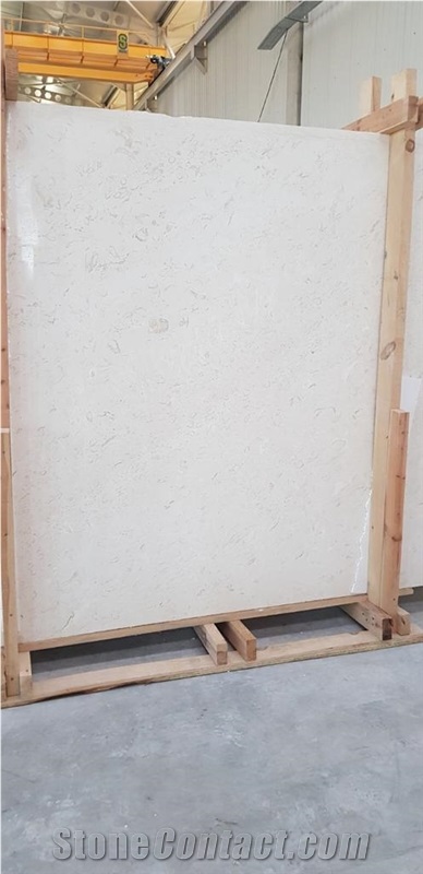 Shell Beige Fossil Limestone Slabs
