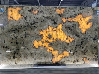 Polished Brazilian Patagonia Granite Slabs