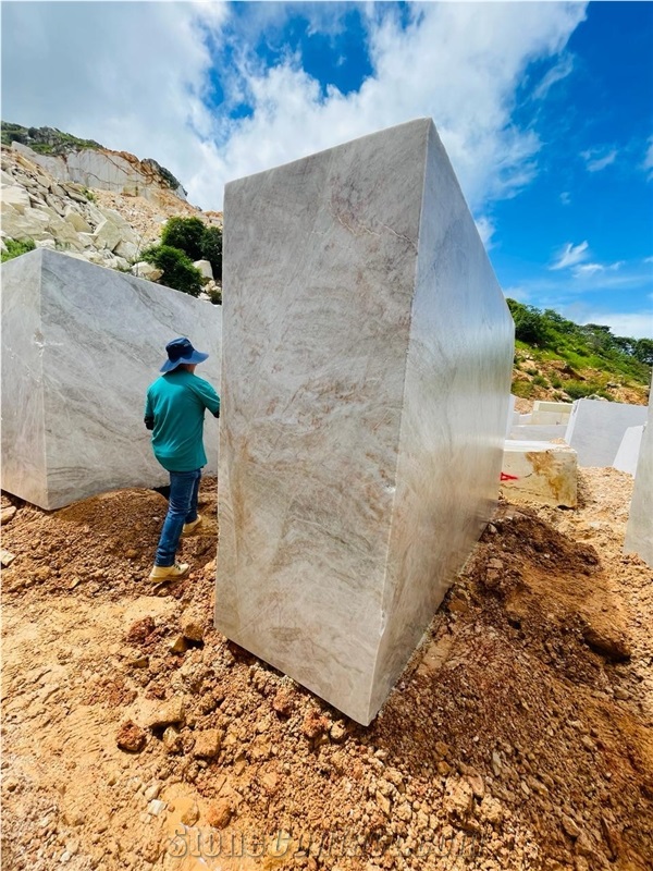 New Arrive Taj Mahal Quartzite Blocks