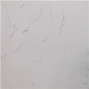 Carrara C Quartz