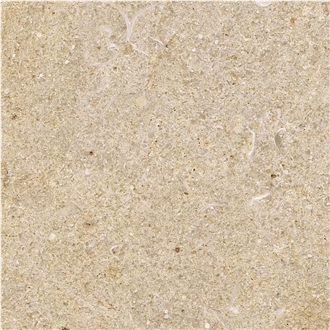 Crema Perla Limestone Tile