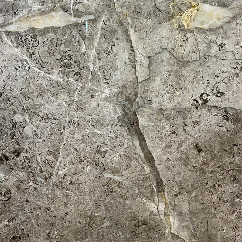 Fior di Bosco Gray Marble Tile