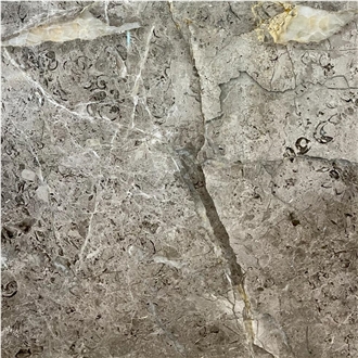 Fior di Bosco Gray Marble Tile