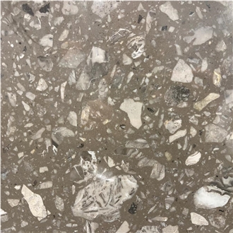 Picasso Grey Terrazzo