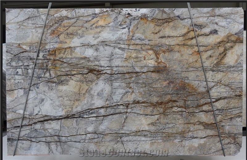 Silver Roots Marble Slab