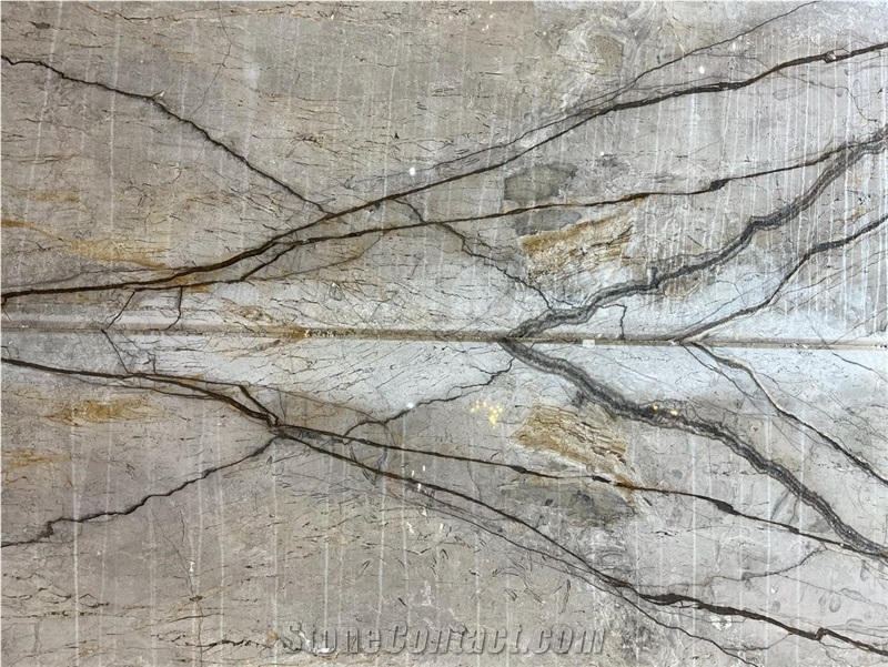 Silver Roots Marble Slab