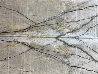 Silver Roots Marble Slab