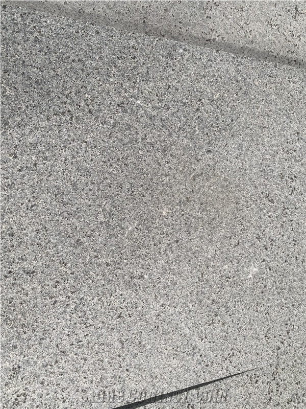 LC Grey Granida Granite Pool Pavers