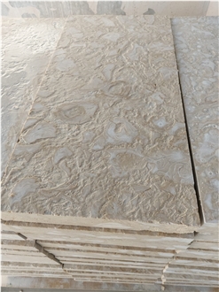 Shell Reef Limestone Slabs, Limestone Tiles