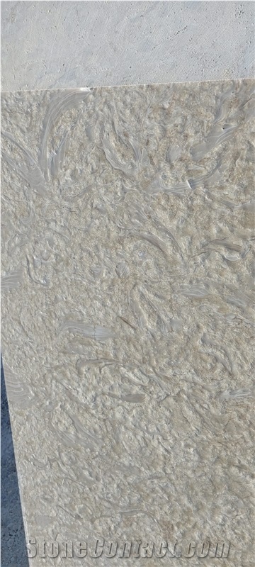 Shell Reef Limestone Slabs, Limestone Tiles