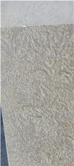 Shell Reef Limestone Slabs, Limestone Tiles