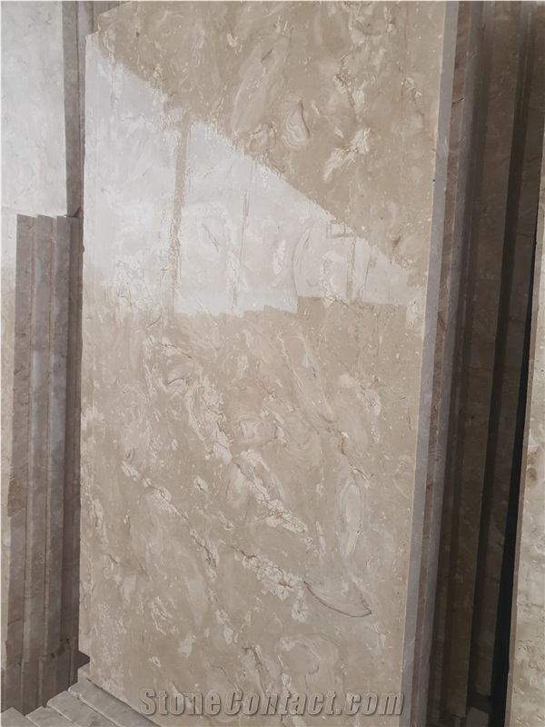 Shell Reef Limestone Slabs, Limestone Tiles