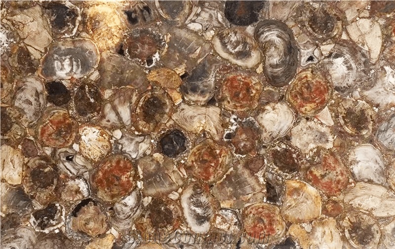 Petrified Wood Semiprecious Stone Slabs