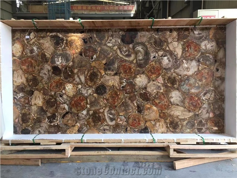 Petrified Wood Semiprecious Stone Slabs