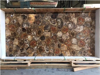 Petrified Wood Semiprecious Stone Slabs