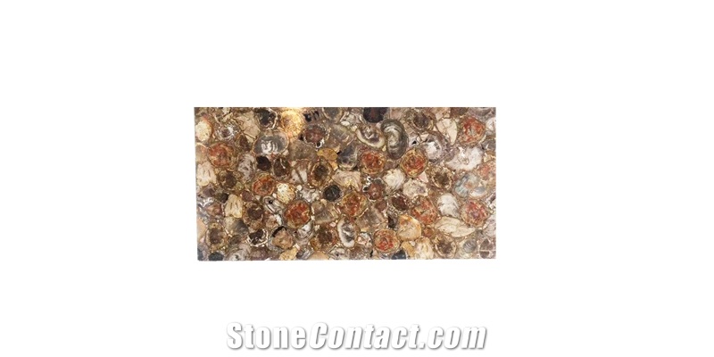 Petrified Wood Semiprecious Stone Slabs