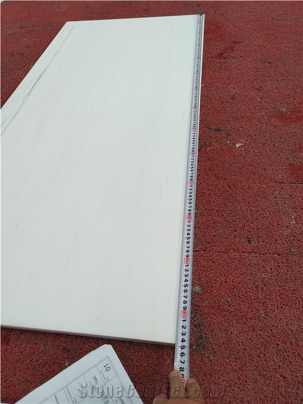 White Base Grey Vein Bianco Dolomiti Marble Countertop