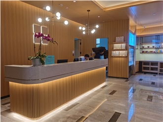 Artificial Stone Countertops Commercial Counters