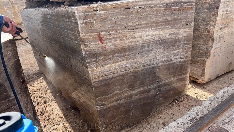 Brown Silver Travertine Blocks