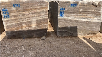 Brown Silver Travertine Blocks