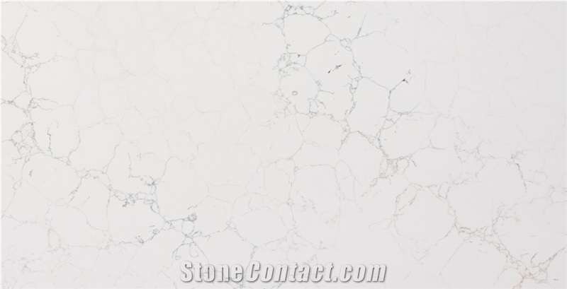 Calacatta Lavasa Green, Grey, Gold Quartz Slabs From Vietnam