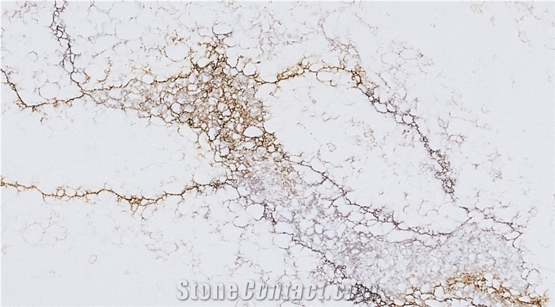 Calacatta Nova Quartz Slabs From Vietnam