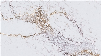 Calacatta Nova Quartz Slabs From Vietnam