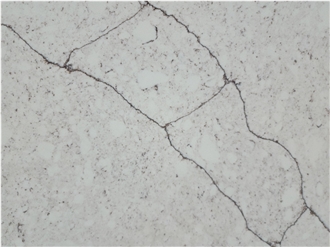 Calacatta Cygnus Beige Quartz Slabs