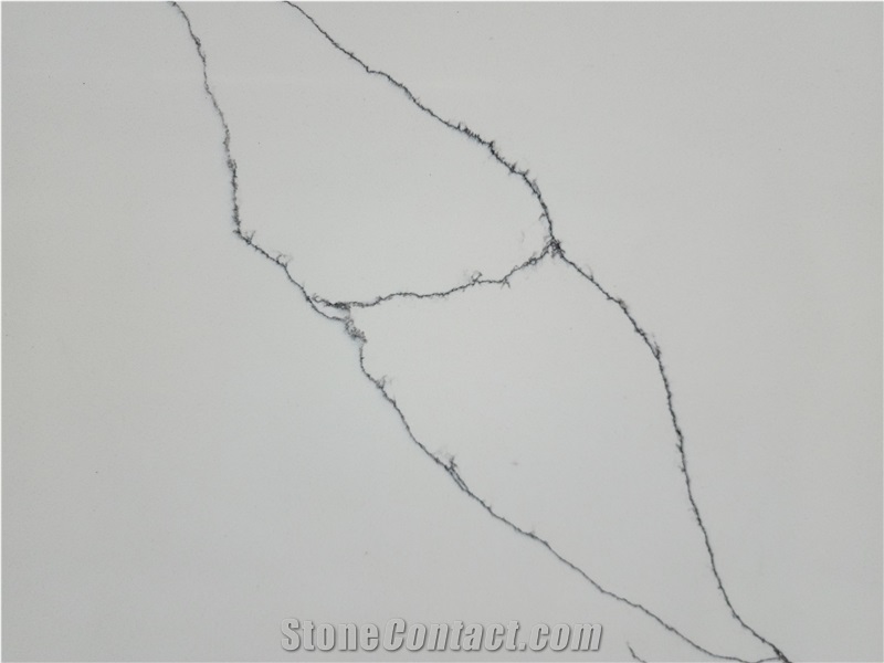 Calacatta Cygnus Quartz Slabs