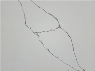 Calacatta Cygnus Quartz Slabs