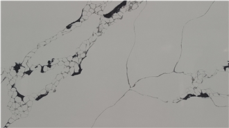 Calacatta Riviera Quartz Slabs