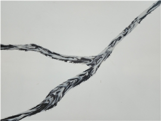 Calacatta Venaliq Quartz Slabs