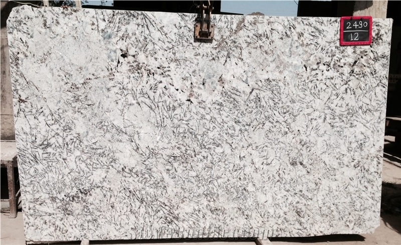 Alaska White Granite Slabs
