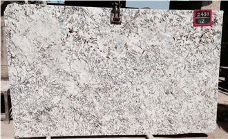 Alaska White Granite Slabs