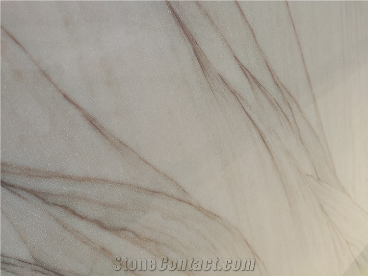Golden Starry Sky Quartzite Slabs