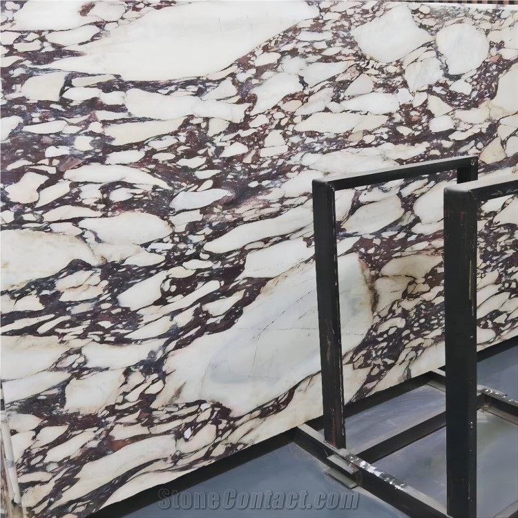New Calacatta Viola Marble Slabs