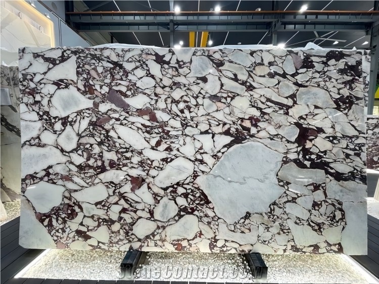 New Calacatta Viola Marble Slabs