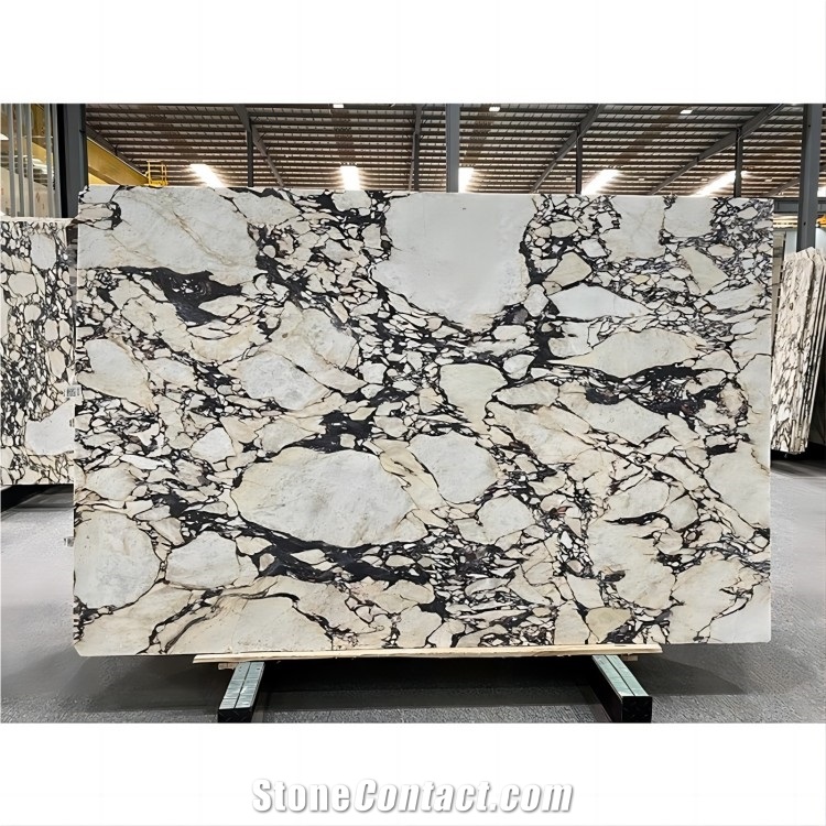New Calacatta Viola Marble Slabs