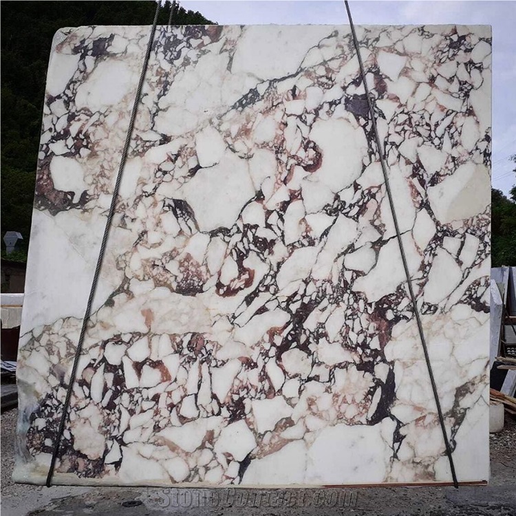 New Calacatta Viola Marble Slabs