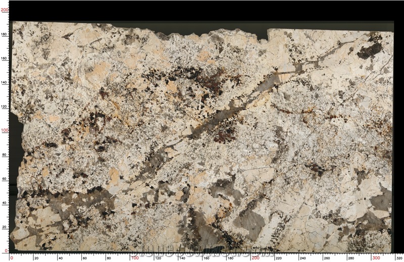 Caravelas Gold Granite Slab
