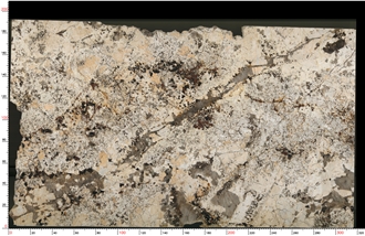 Caravelas Gold Granite Slab