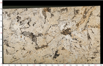 Caravelas Gold Granite Slab
