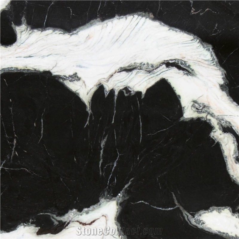 Dalmata Marble importance=