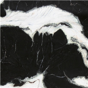 Dalmata Marble